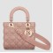 Dior Small Lady Dior My ABCDior Bag in Blush Lambskin