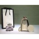 Gucci Sylvie leather mini chain bag 431666 in off white leather