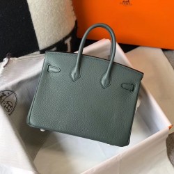 Hermes Birkin 25cm Bag In Vert Amande Clemence Leather