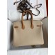 Hermes HSS Birkin 25 Bicolor Bag in Trench and Gold Epsom Calfskin