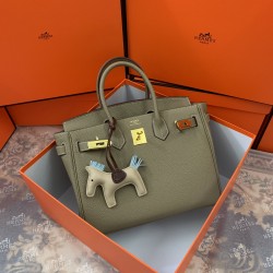 Hermes Birkin 25cm Bag Togo Leather