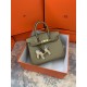 Hermes Birkin 25cm Bag Togo Leather