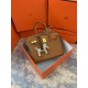 Hermes Birkin 25cm Bag Togo Leather