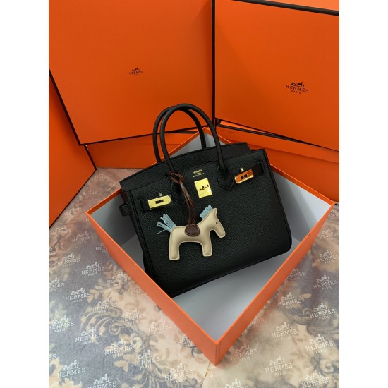 Hermes Birkin 25cm Bag In Black Togo Leather