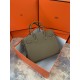 Hermes Birkin 25cm Bag Togo Leather