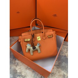 Hermes Birkin 25cm Bag In Orange Togo Leather