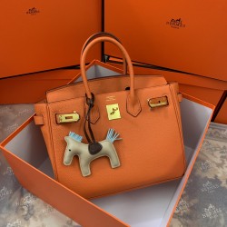 Hermes Birkin 25cm Bag In Orange Togo Leather