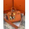 Hermes Birkin 25cm Bag In Orange Togo Leather