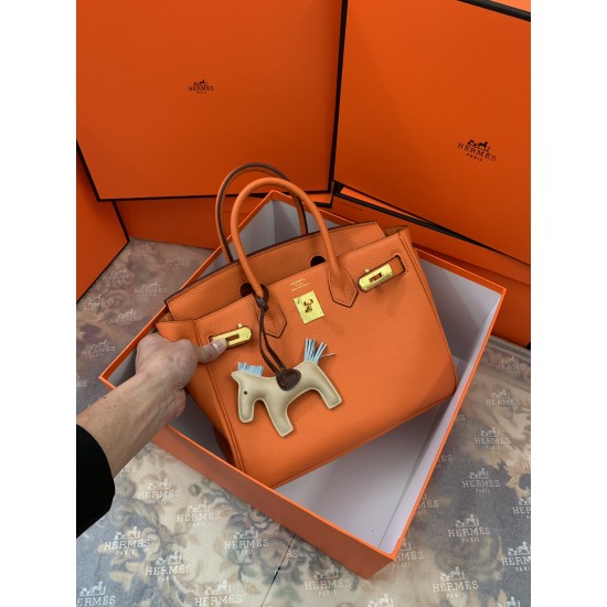 Hermes Birkin 25cm Bag In Orange Togo Leather