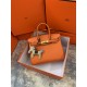 Hermes Birkin 25cm Bag In Orange Togo Leather