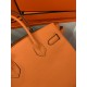 Hermes Birkin 25cm Bag In Orange Togo Leather