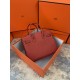 Hermes Birkin 25cm Bag Togo Leather