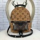 Louis Vuitton M42411 Palm Springs Backpack Mini Monogram Canvas