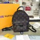 Louis Vuitton M41562 Palm Springs Backpack Mini Monogram Canvas