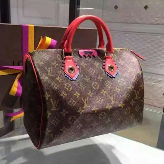 Louis Vuitton M41665 Speedy 30 Totem Tote Bag Monogram Canvas