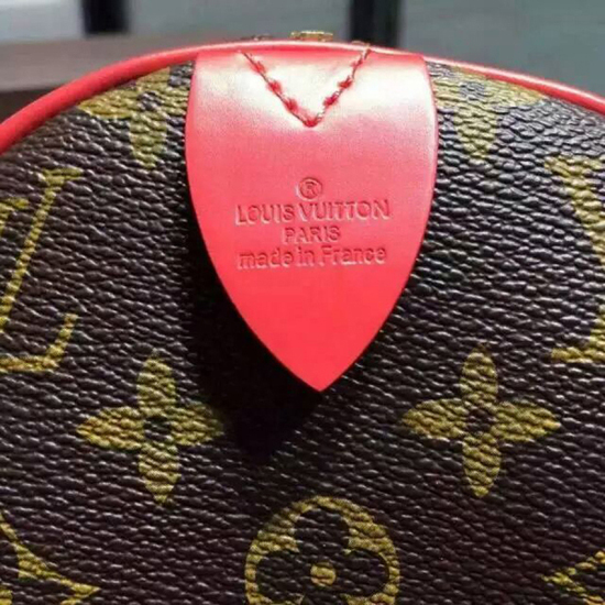 Louis Vuitton M41665 Speedy 30 Totem Tote Bag Monogram Canvas