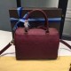 Louis Vuitton M43262 Speedy Bandouliere 25 Tote Bag Monogram Empreinte Leather