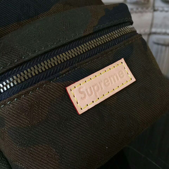 Louis Vuitton x Supreme Camo Apollo Backpack Nano M44201