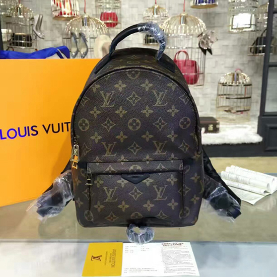 Louis Vuitton M41560 Palm Springs Backpack PM Monogram Canvas