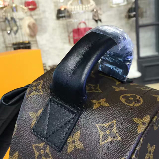 Louis Vuitton M41560 Palm Springs Backpack PM Monogram Canvas