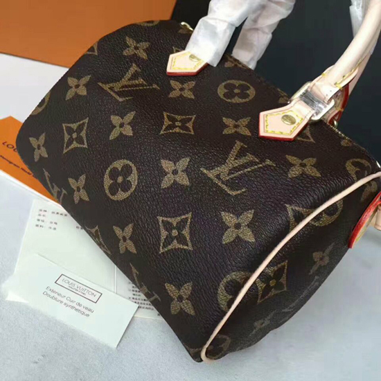 Louis Vuitton M61252 Nano Speedy Crossbody Bag Monogram Canvas