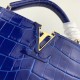 Louis Vuitton Capucines Mini Crocodile Bag N93074