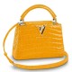 Louis Vuitton Capucines Mini Crocodile Bag N93429